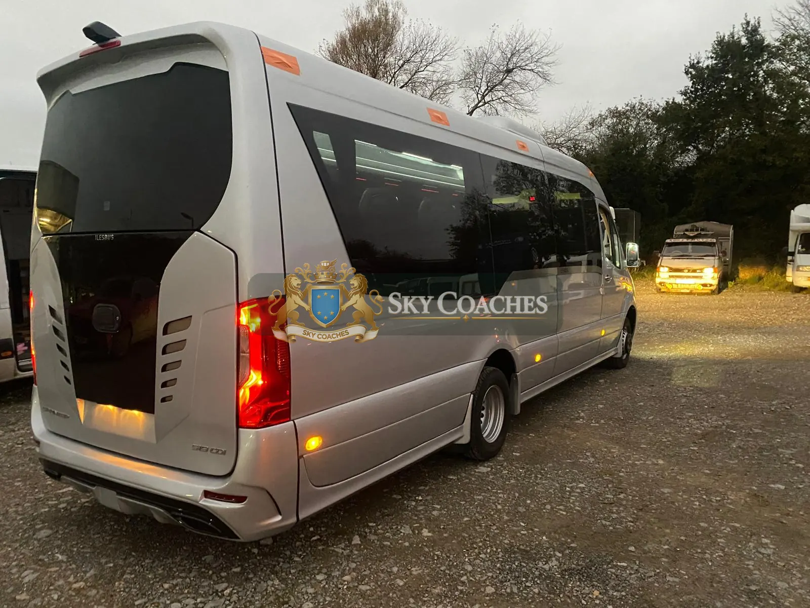 Silver Mercedes-Benz Sprinter — rear view