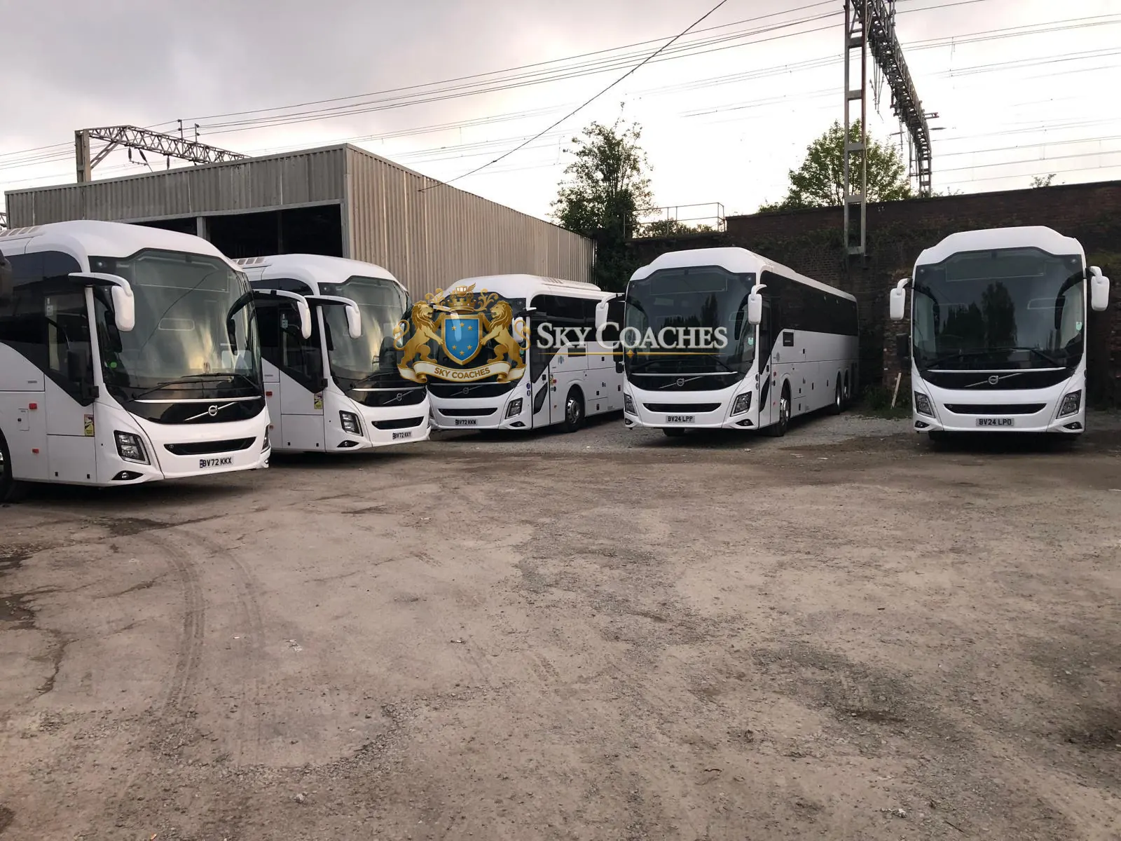 A line of white Sky Coaches Volvo coaches in the depot
